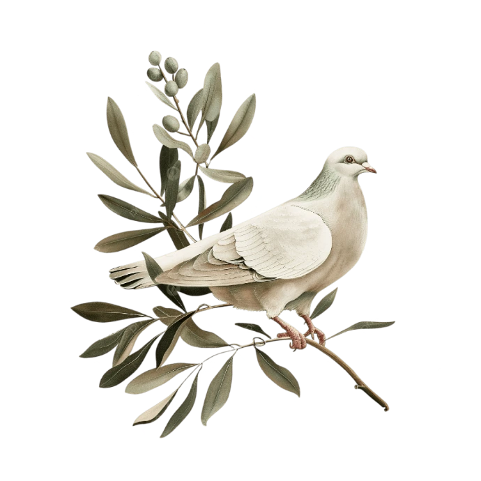 Débarras après décès